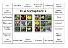 Bingo-Frühlingsblüten-2.pdf